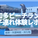 南知多ビーチランド 子連れ体験レポ アイキャッチ画像