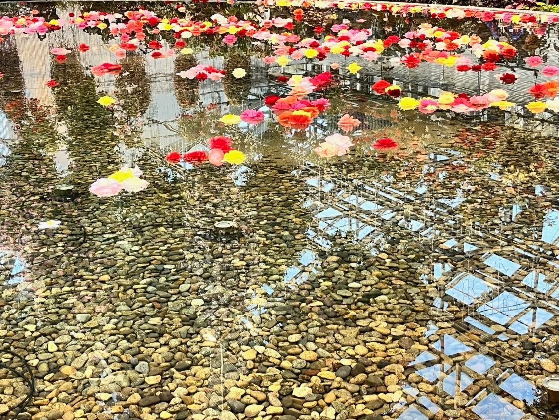 水に浮かぶベゴニアの花